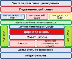 Структура образовательного учреждения